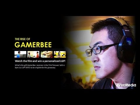 The Rise of GamerBee